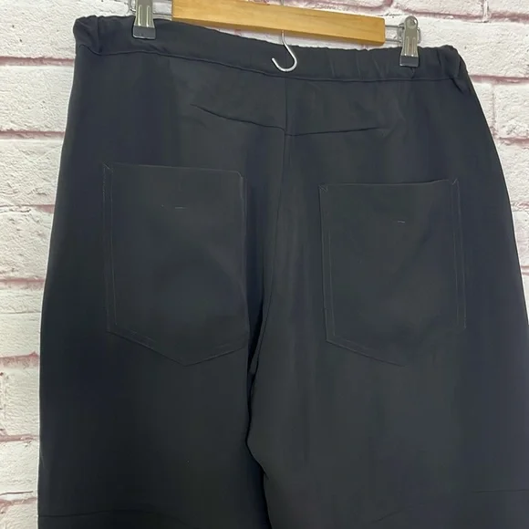 Roucha Pal Crepe Pant in Black